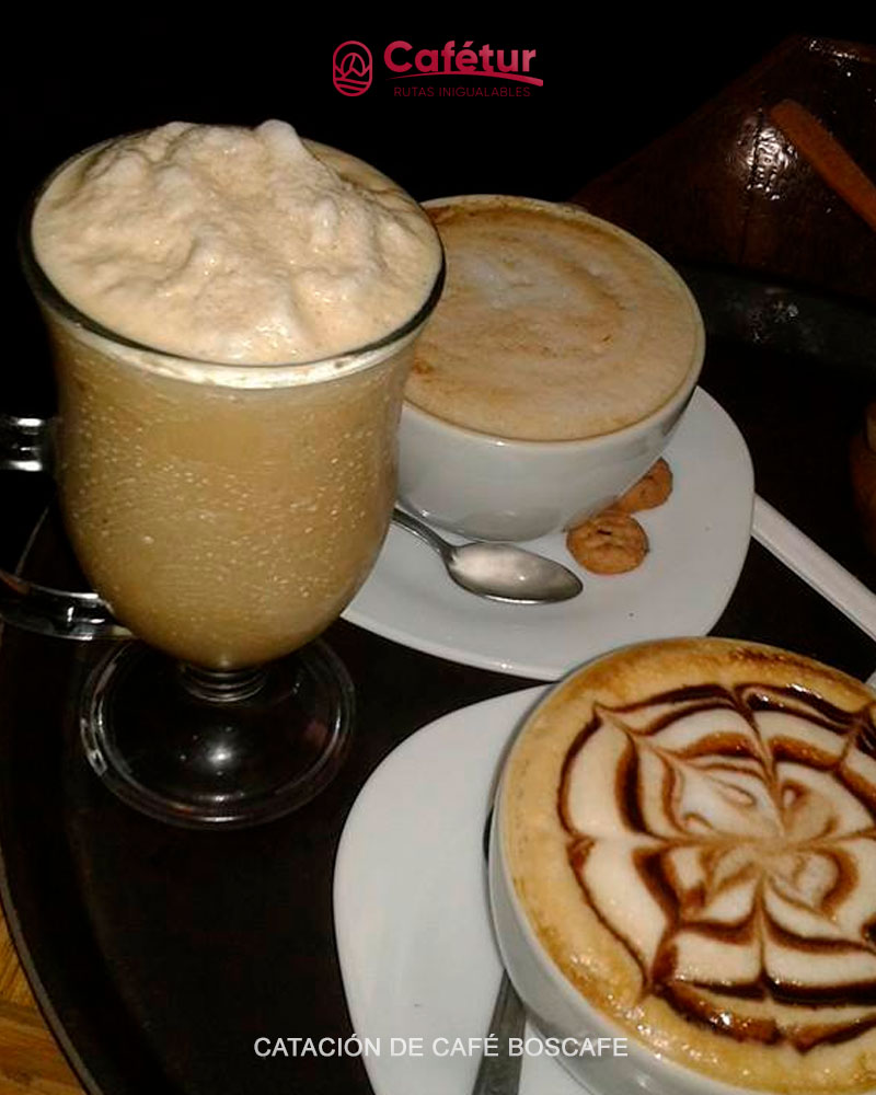 CATACIÓN DE CAFÉ BOSCAFE 3 - Cafetur