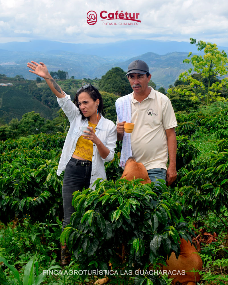 FINCA AGROTURÍSTICA LAS GUACHARACAS - Cafetur