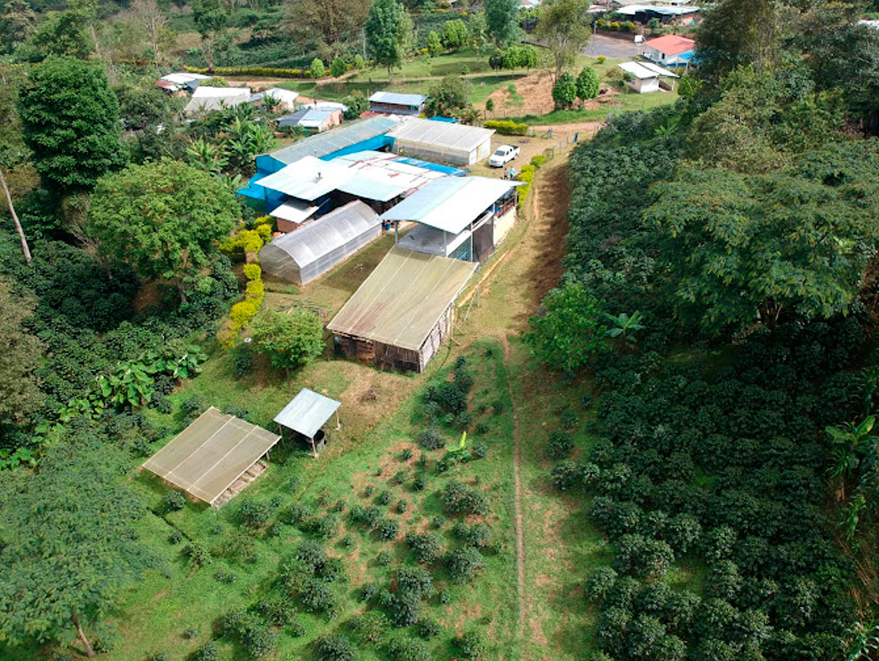 Finca Agroturistica Villa Valentina 3 - CAFETUR