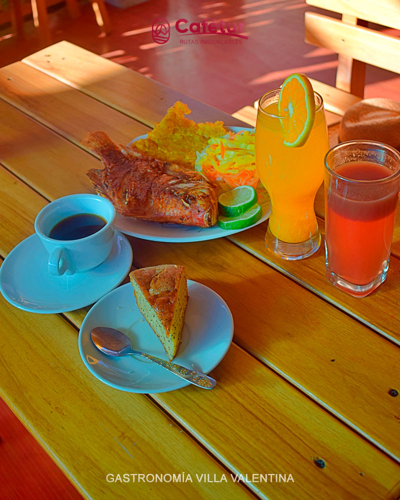 GASTRONOMIA VILLA VALENTINA - Cafetur