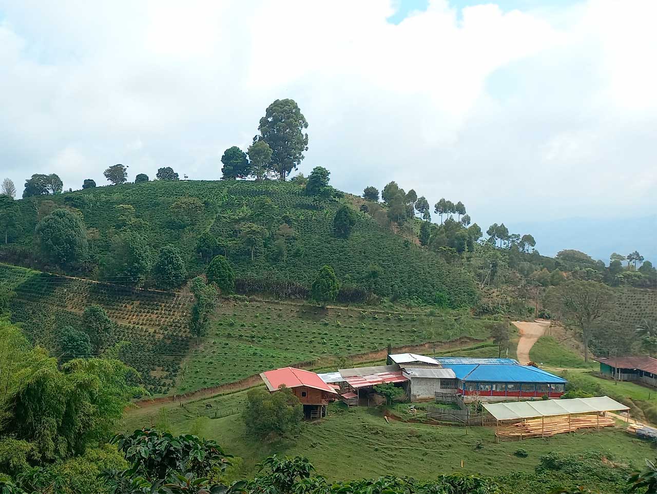 Pasadia 3 comidas Las Guacharacas Agroturistica Hacienda