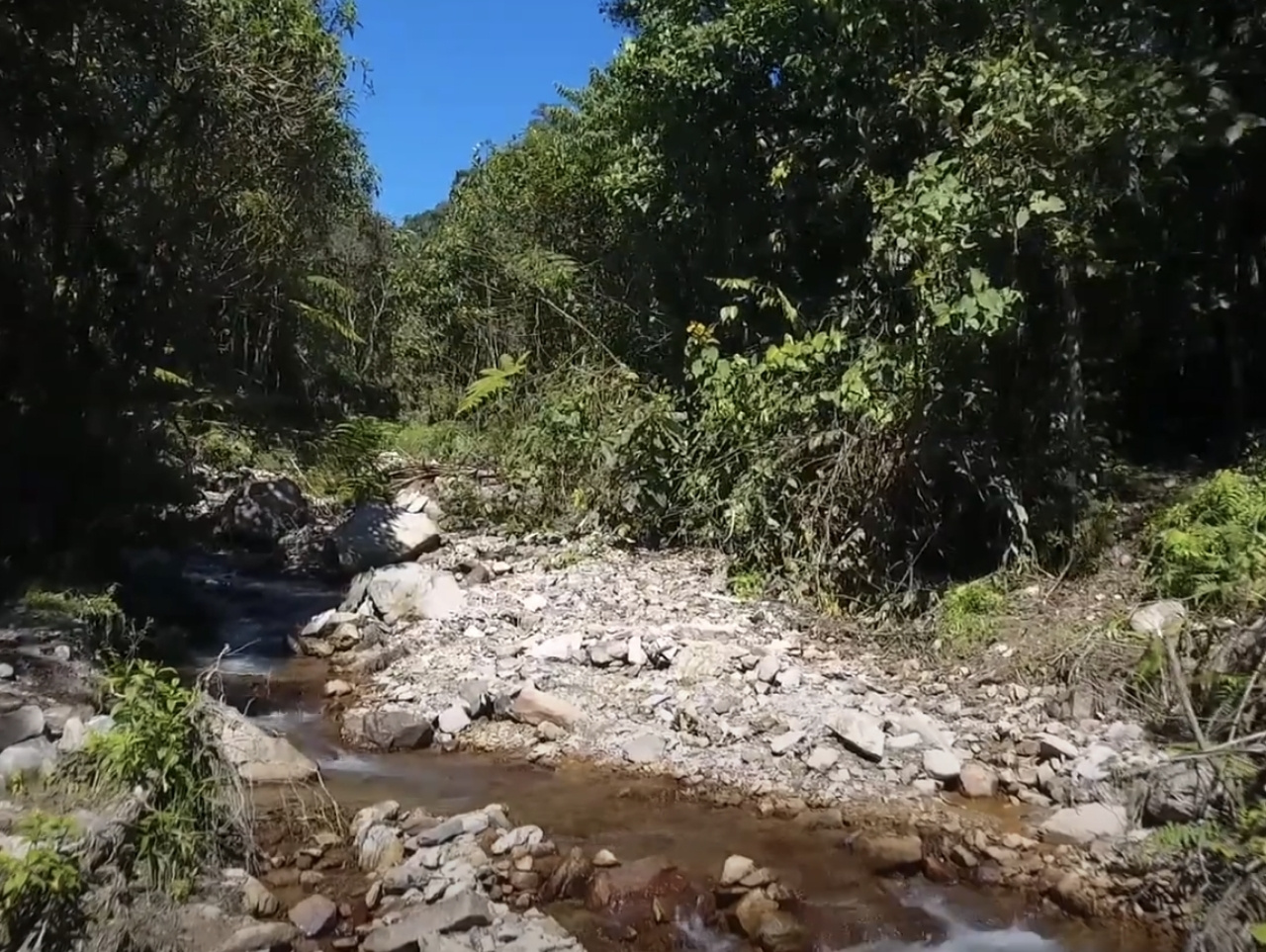 La Madriguera del Oso 2 - CAFETUR